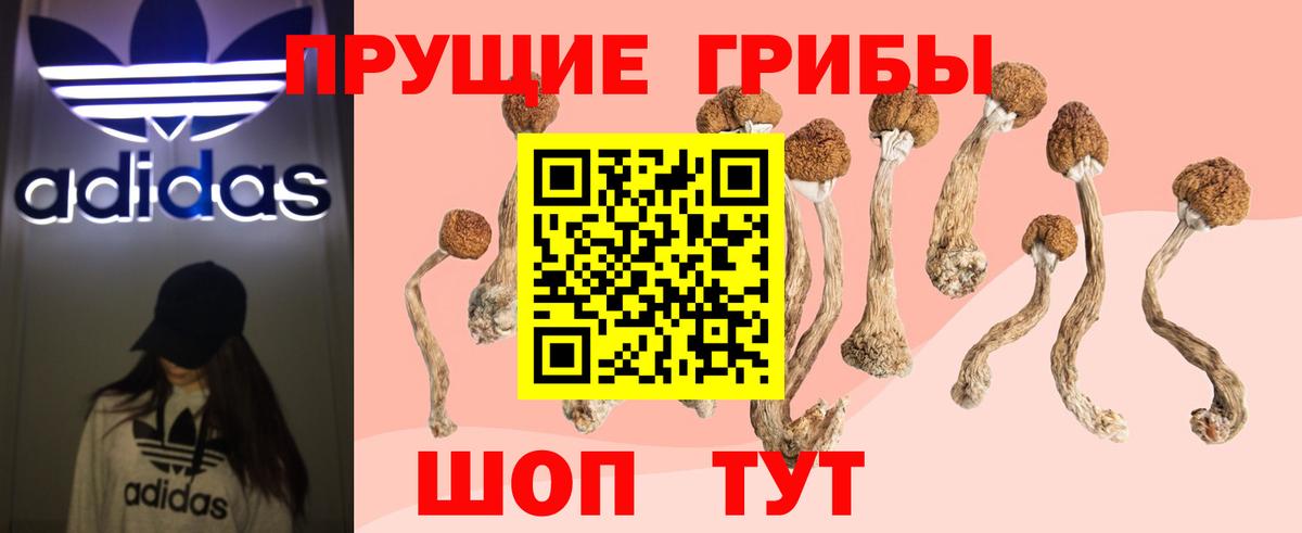 Псилоцибиновые грибы GOLDEN TEACHER  Галлюциногенные грибы ЛСД  Брянск  Вход с VPN 